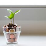 How Compound Interest Turns $200 a Month Into $298,000 — Photo by micheile henderson on Unsplash